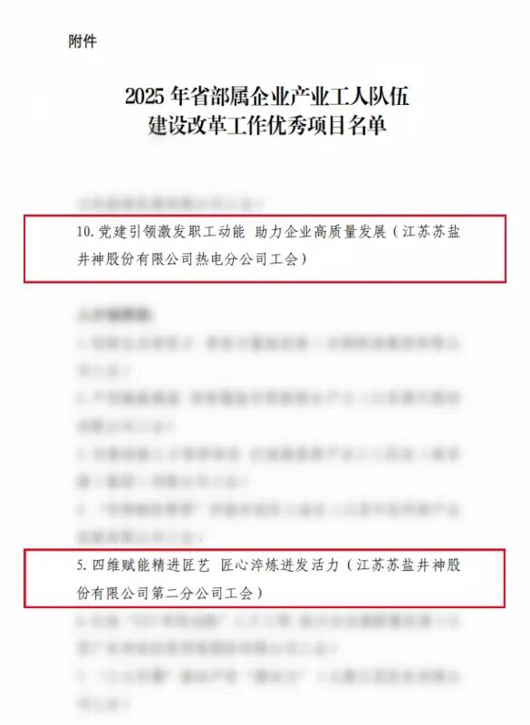 喜报！苏盐集团1项发明专利、2个产改项目获省总工会表彰