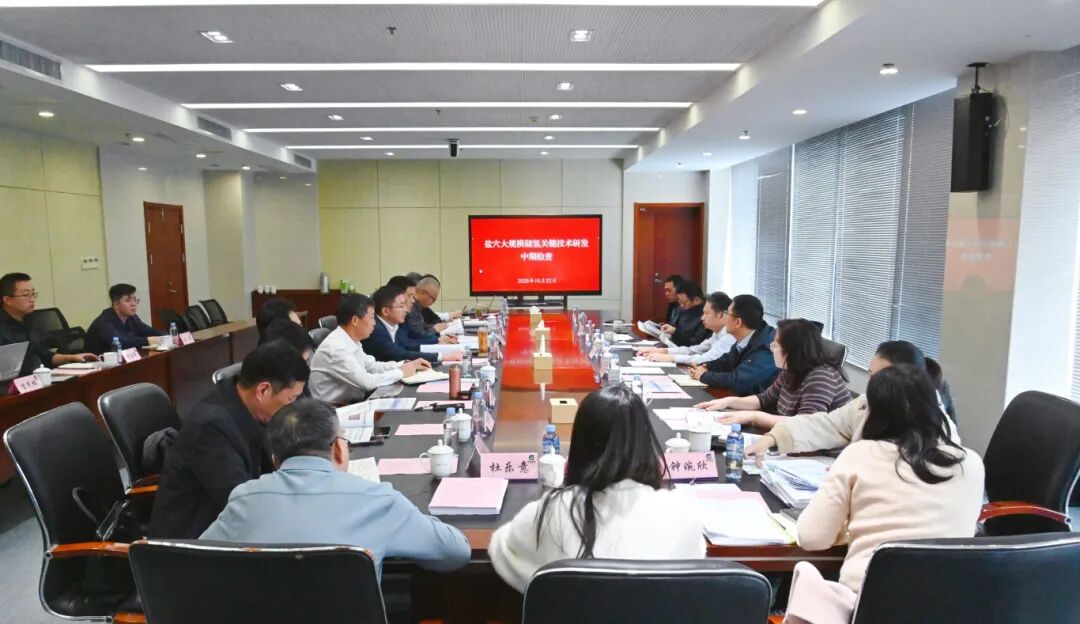 “盐穴大规模储氢关键技术研发”项目顺利通过中期检查 “盐穴大规模储氢关键技术研发”项目顺利通过中期检查