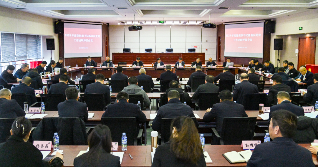 苏盐集团党委召开2025年度所属企业党组织书记抓基层党建工作述职评议会