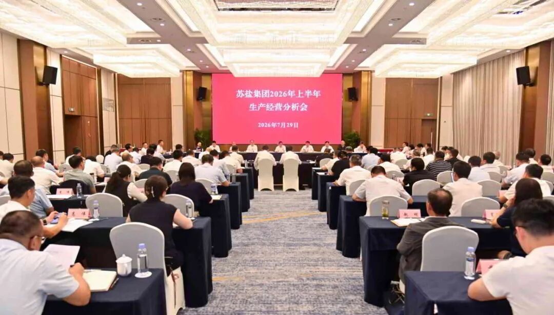 苏盐集团召开2026年上半年生产经营分析会